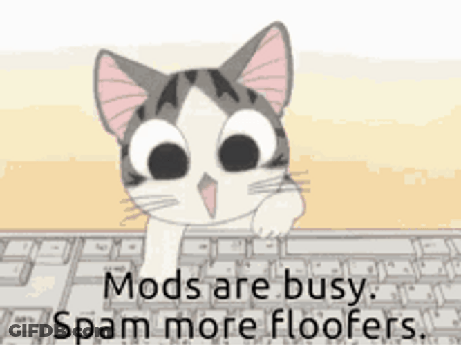 Typing Cat Mods Are Busy GIF