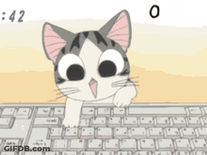 Typing Cat OMG LOL GIF