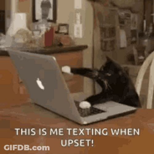 Typing Cat Texting When Upset GIF