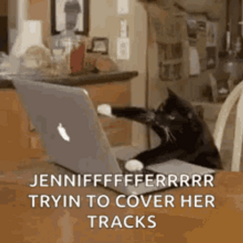 Typing Cat Trying To Cover Her Tracks GIF