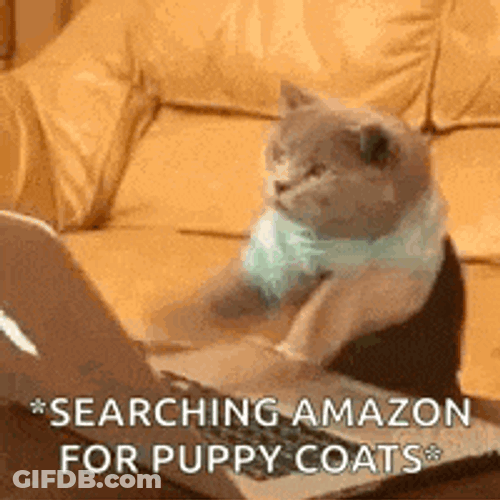 Typing Laptop GIF