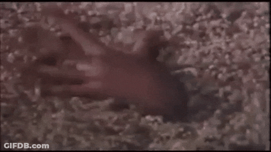 Typing Quicksand Font GIF