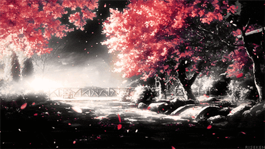 U Afcd953 GIF