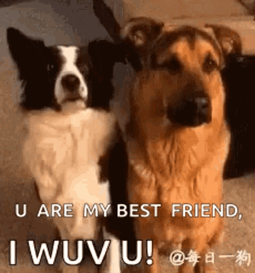 U Are My Best Friend GIF
