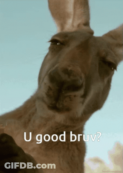 U Good Bro Kangaroo Face Close Up GIF
