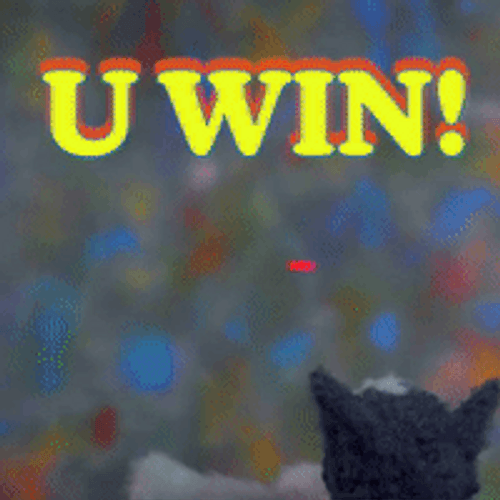 U Win Try Again Cute Cat GIF