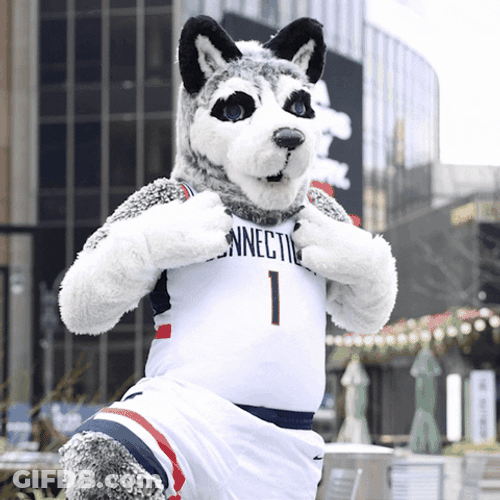 Uconn Husky Flexing Jersey GIF