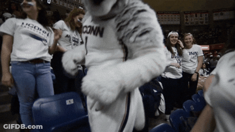 Uconn Husky Mascot Taunt GIF