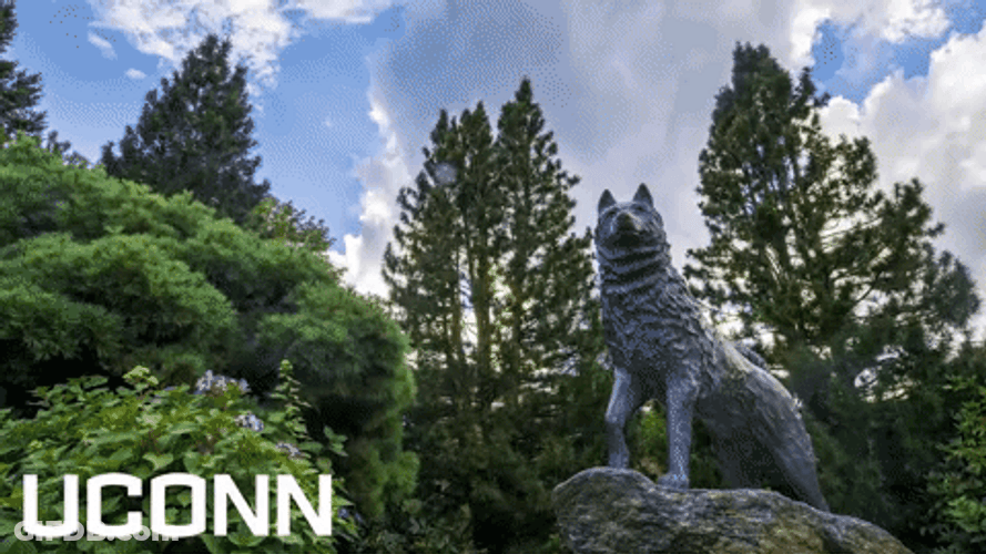 Uconn Husky Monument GIF