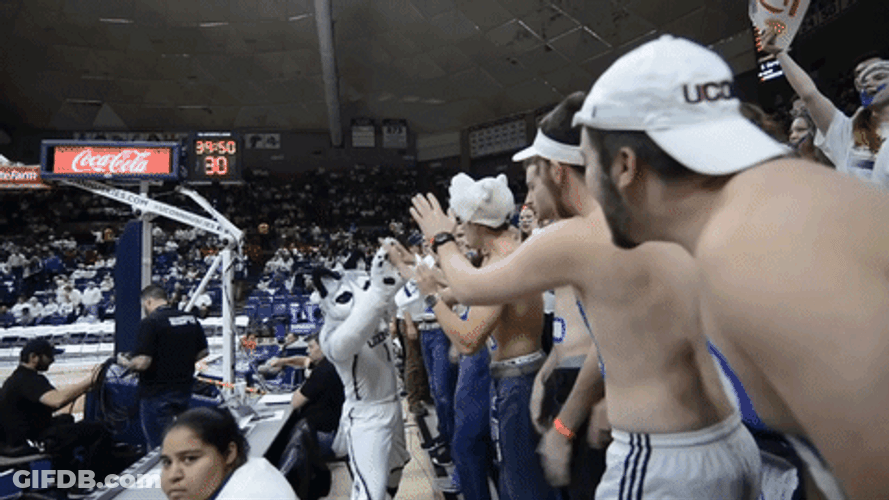 Uconn Wolf Mascot GIF