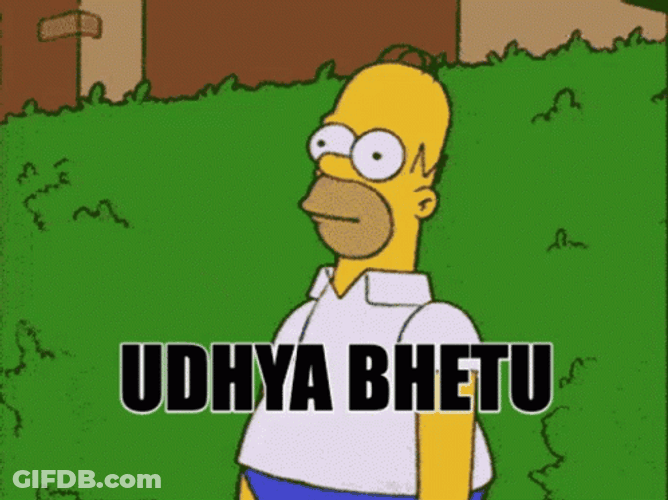 Udhya Bhetu Homer Doh GIF