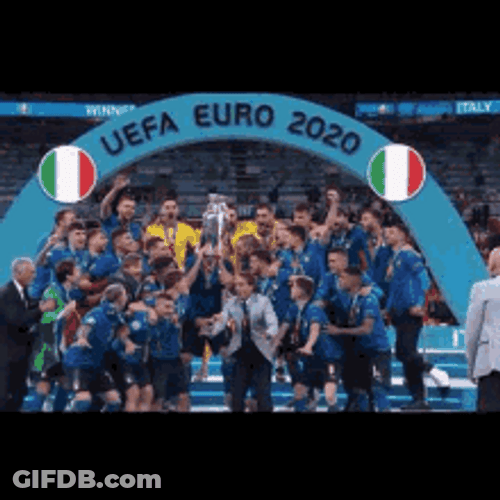 Uefa Euro Winner GIF