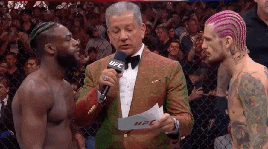 Ufc Aljamain Sterling Versus Sean O'Malley GIF