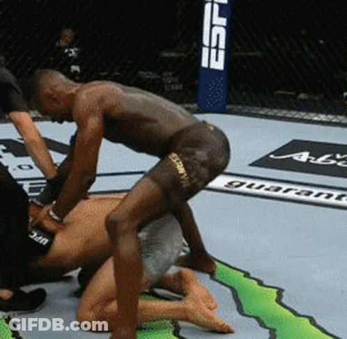 UFC Boxer Wrestling In Ring GIF