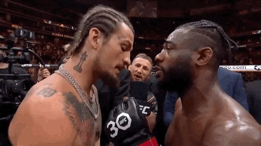 Ufc Face Off Sean O'Malley Aljamain Sterling GIF
