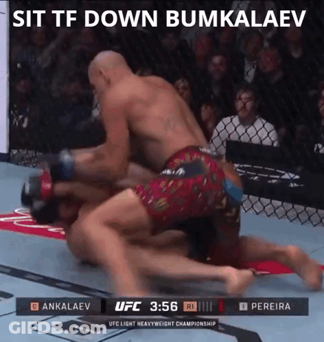 UFC Fight Ankalaev Vs Pereira GIF