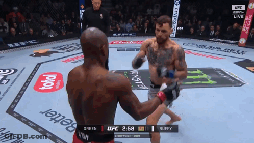UFC Fight Between Green And Ruffy GIF