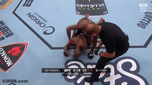 UFC Fight Between Green And Turner GIF