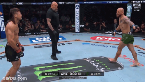 UFC Fight Between Lopes And Silva GIF