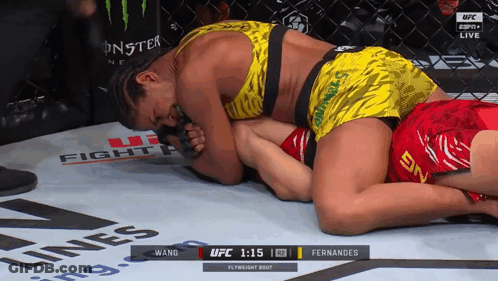 UFC Fight Between Wang And Fernandes GIF