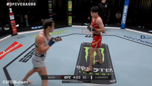 UFC Fight Between Wang And Leonardo GIF