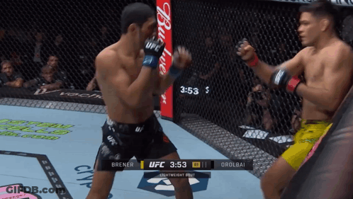 UFC Fight Brener Vs Orolbai On Screen GIF