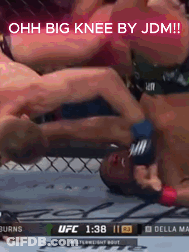 UFC Fight Burns Vs Della Maia GIF