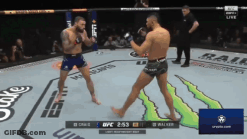UFC Fight Craig Vs Walker GIF