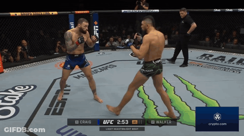UFC Fight Craig Vs Walker On Crypto.com GIF