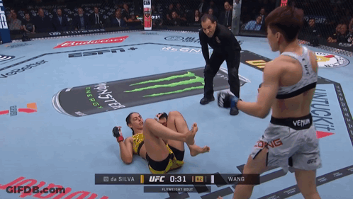 UFC Fight Da Silva Vs Wang GIF