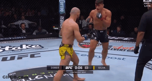 UFC Fight Dober Vs Silva Live GIF
