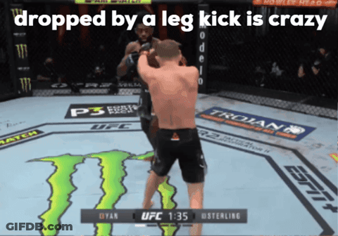 UFC Fight Dropped By A Leg Kick Is Crazy GIF
