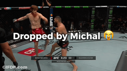 UFC Fight Dropped By Michal GIF