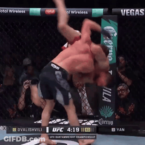 UFC Fight Dvalishvili Vs Yan Score 4:19 GIF