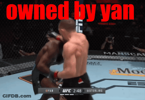UFC Fight Dyan Vs Sterling GIF