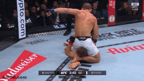 UFC Fight Gaethje Vs Fiziev With Budweiser Ad GIF