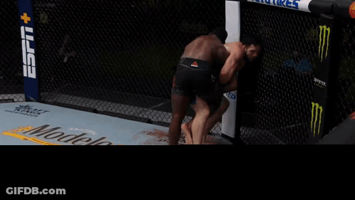 UFC Fight Hawes Vs Imayov In Cage GIF