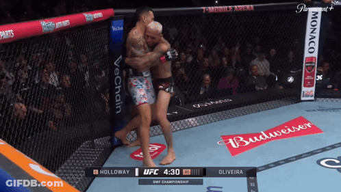 UFC Fight Holloway Vs Oliveira GIF