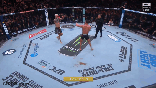 UFC Fight In Boxing Ring Sponsored By Budweiser GIF