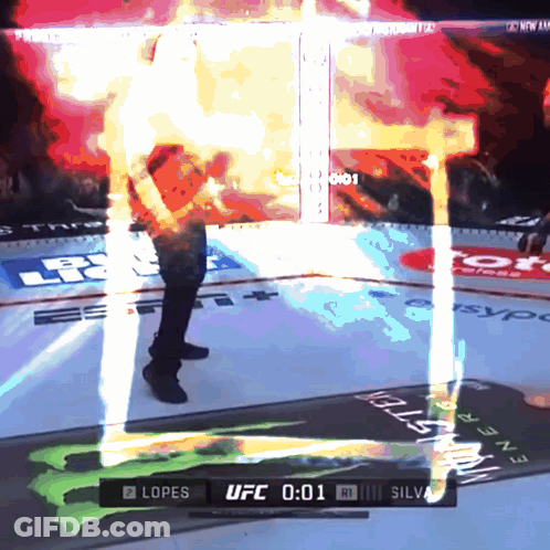 UFC Fight Lopes Silva GIF
