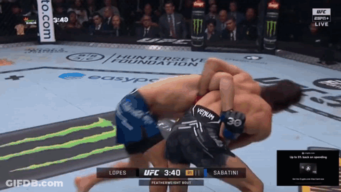 UFC Fight Lopes Vs Sabatini ESPN GIF