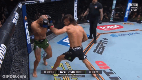 UFC Fight Lopes Vs Silva In Cage GIF