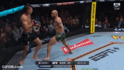 UFC Fight Lopes Vs Silva Live On ESPN GIF