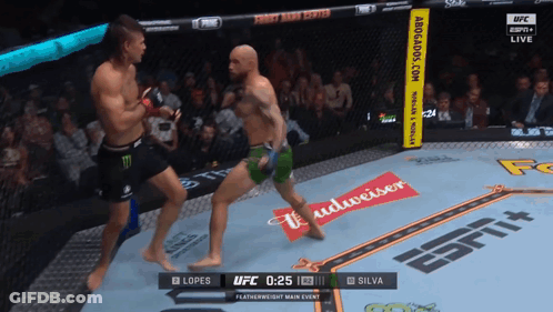 UFC Fight Lopes Vs Silva Live On ESPN GIF