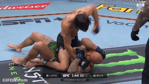 UFC Fight Lopes Vs Silva On ESPN GIF
