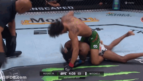 UFC Fight Mitchell Vs Rosas Jr. Underway GIF