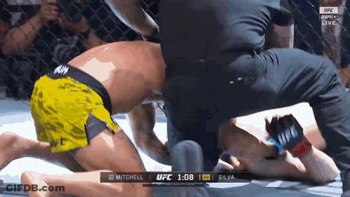 UFC Fight Mitchell Vs Silva GIF