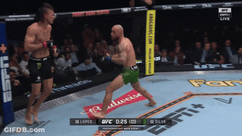 UFC Fight On ESPN GIF