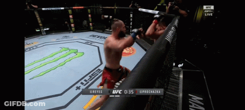 UFC Fight On ESPN Plus GIF