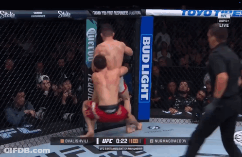 UFC Fight On Screen With Bud Light Advertising GIF